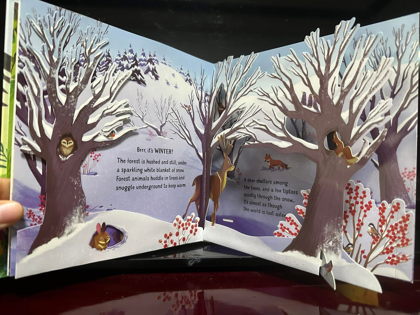 Usborne Pop-up Seasons