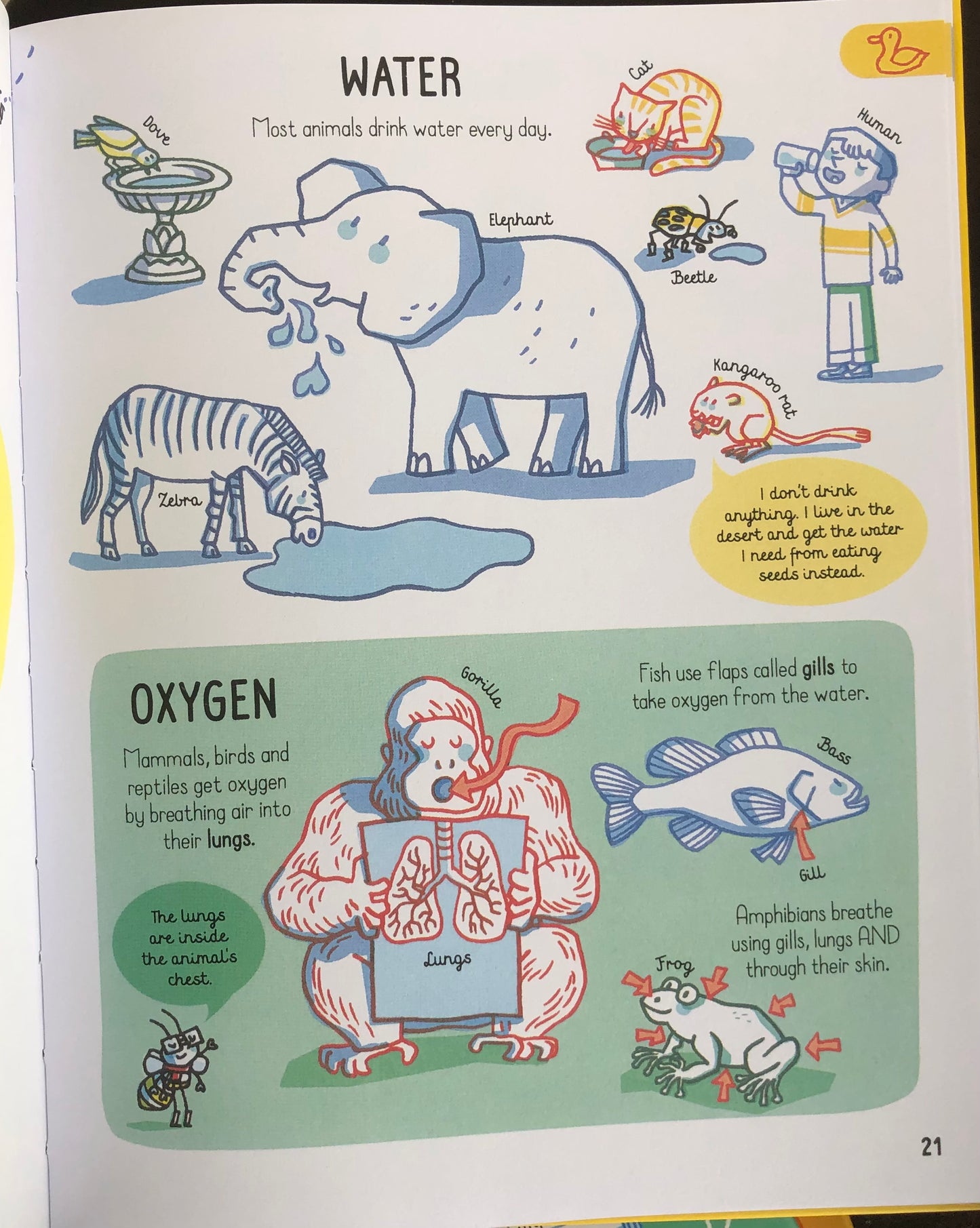 Usborne All the Science You Need to Know by Age 7