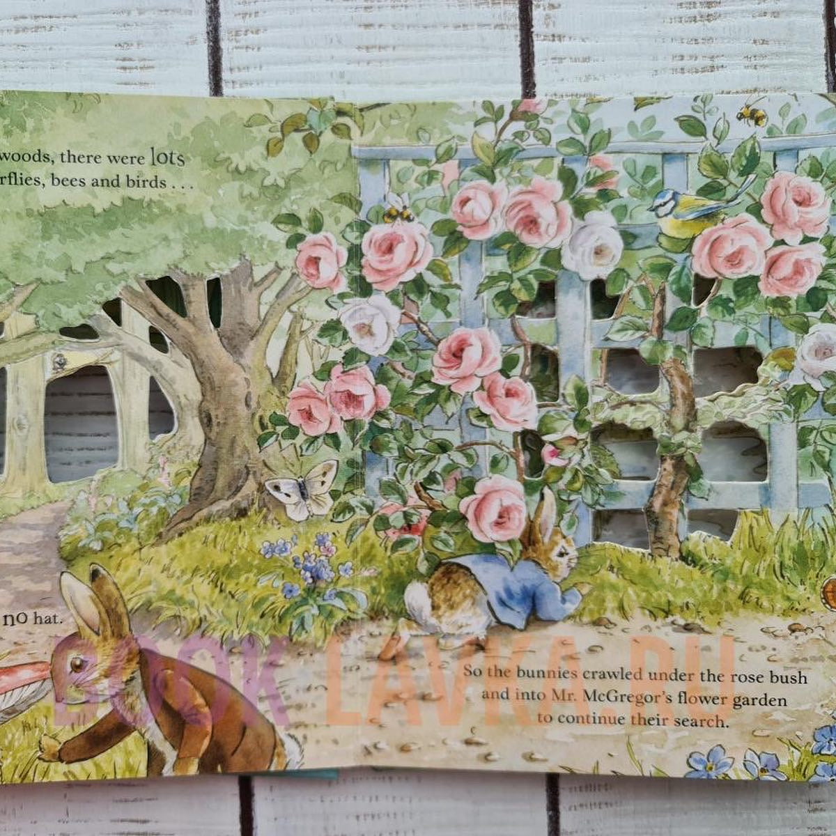 🐰Peter Rabbit The Lost Hat🐰
A Peep-Inside Tale