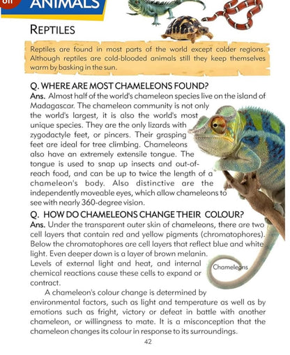My Big Knowledge Encyclopedia