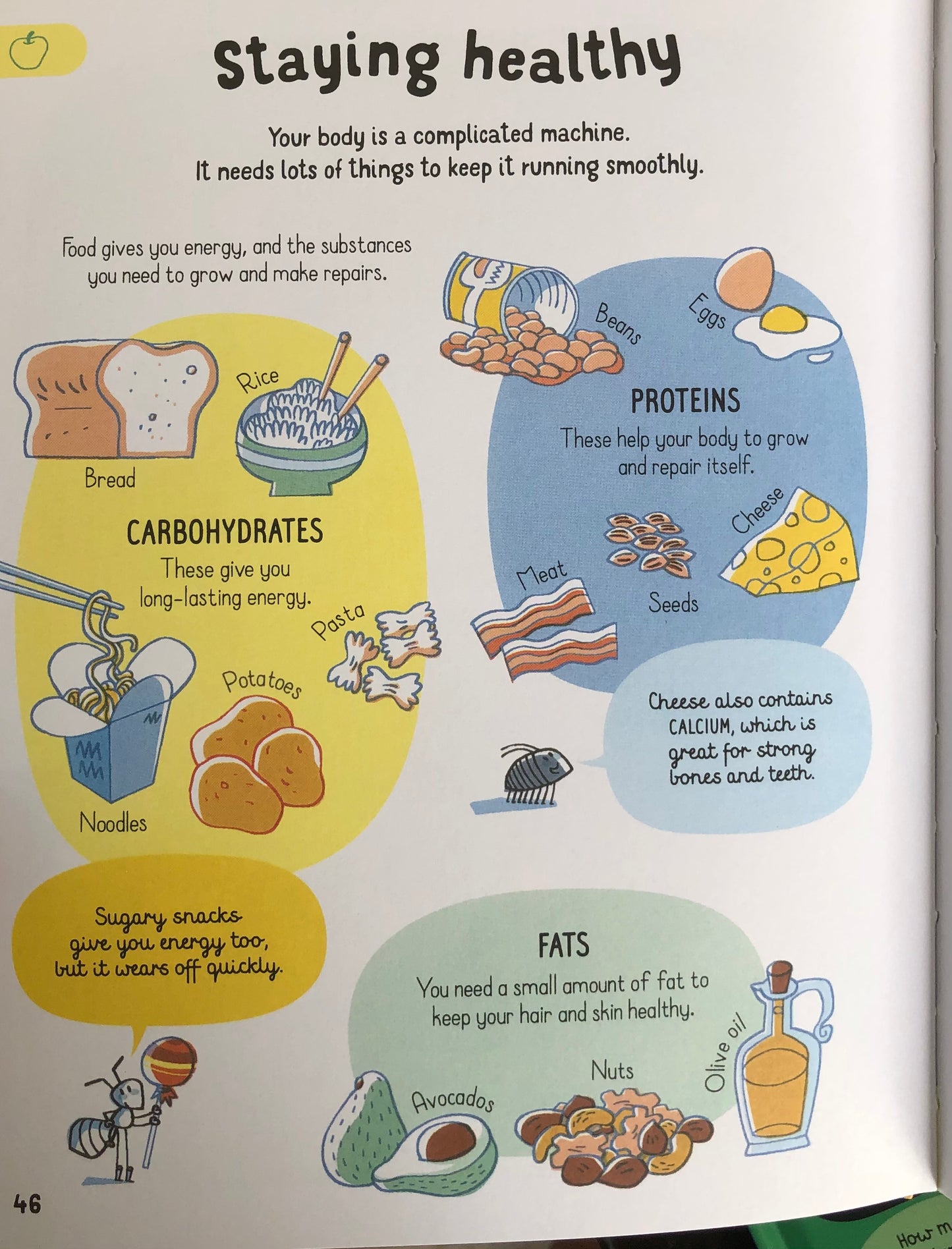 Usborne All You Need to Know about your body by Age 7