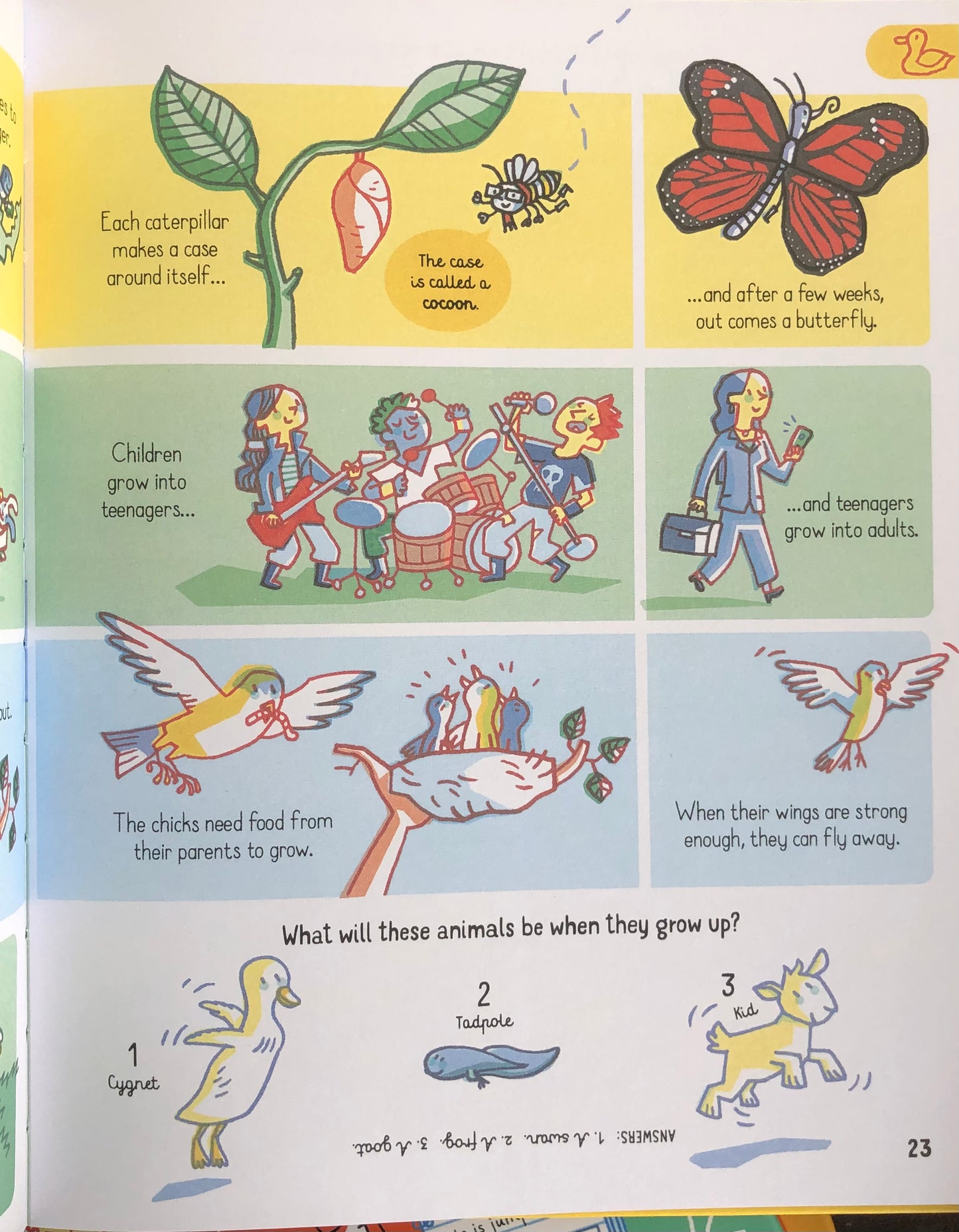 Usborne All the Science You Need to Know by Age 7