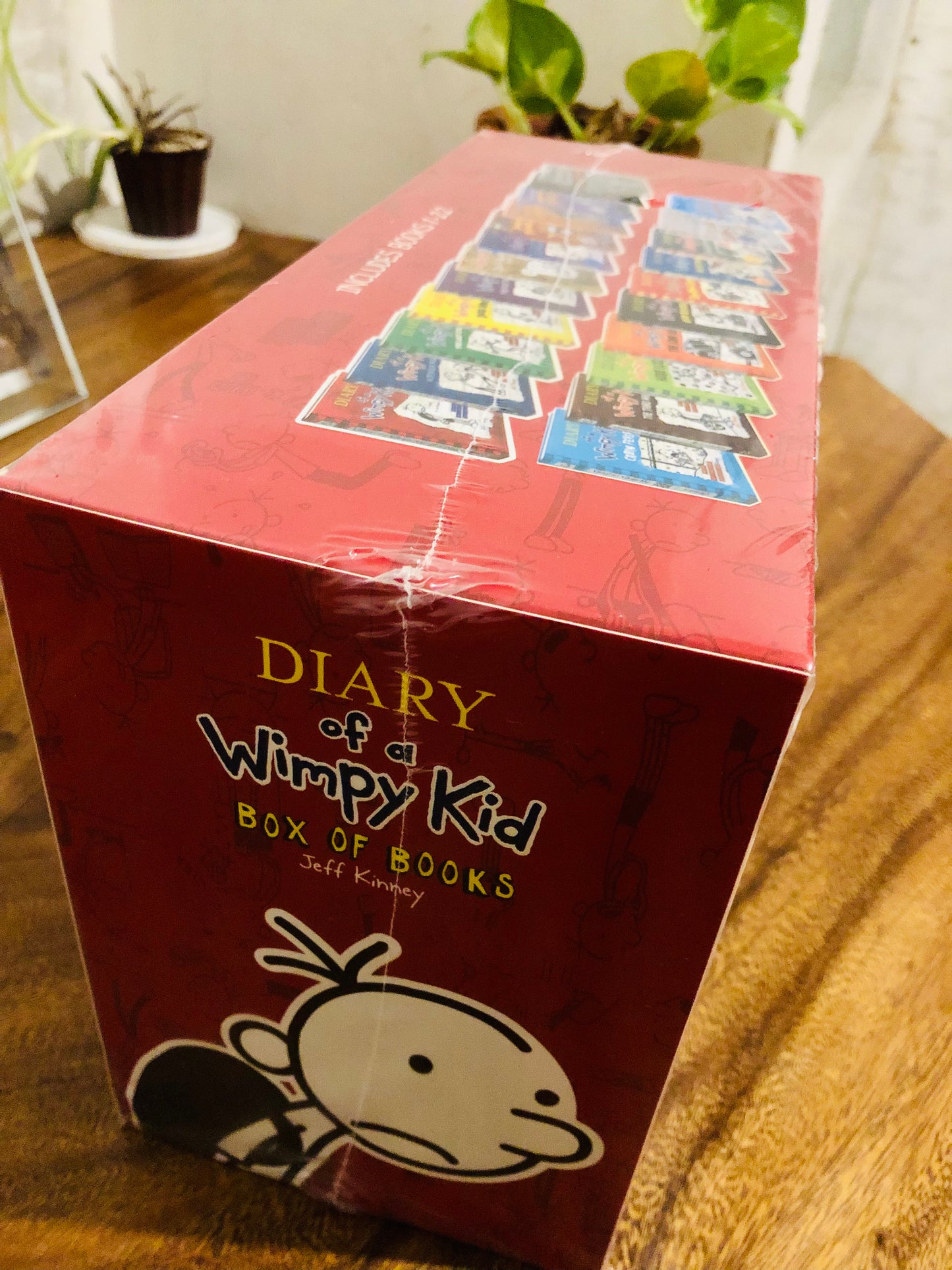 Diary of a Wimpy Kid 22 book collection