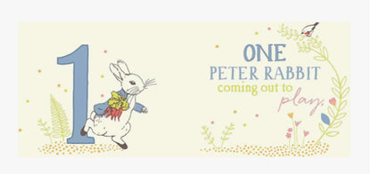 Peter Rabbit 123: A Counting Book