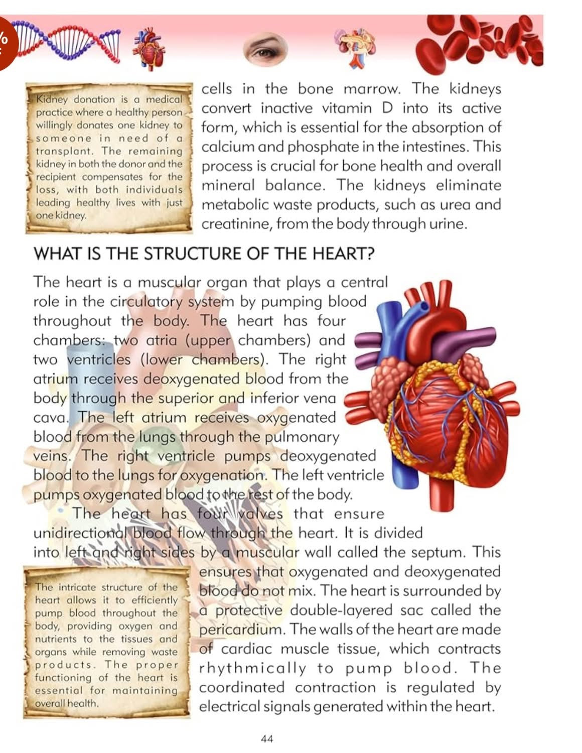 Tell Me What Series Encyclopedia for Kids