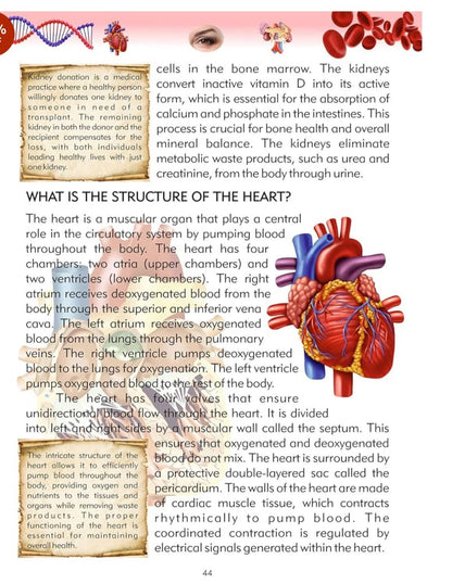 Tell Me What Series Encyclopedia for Kids