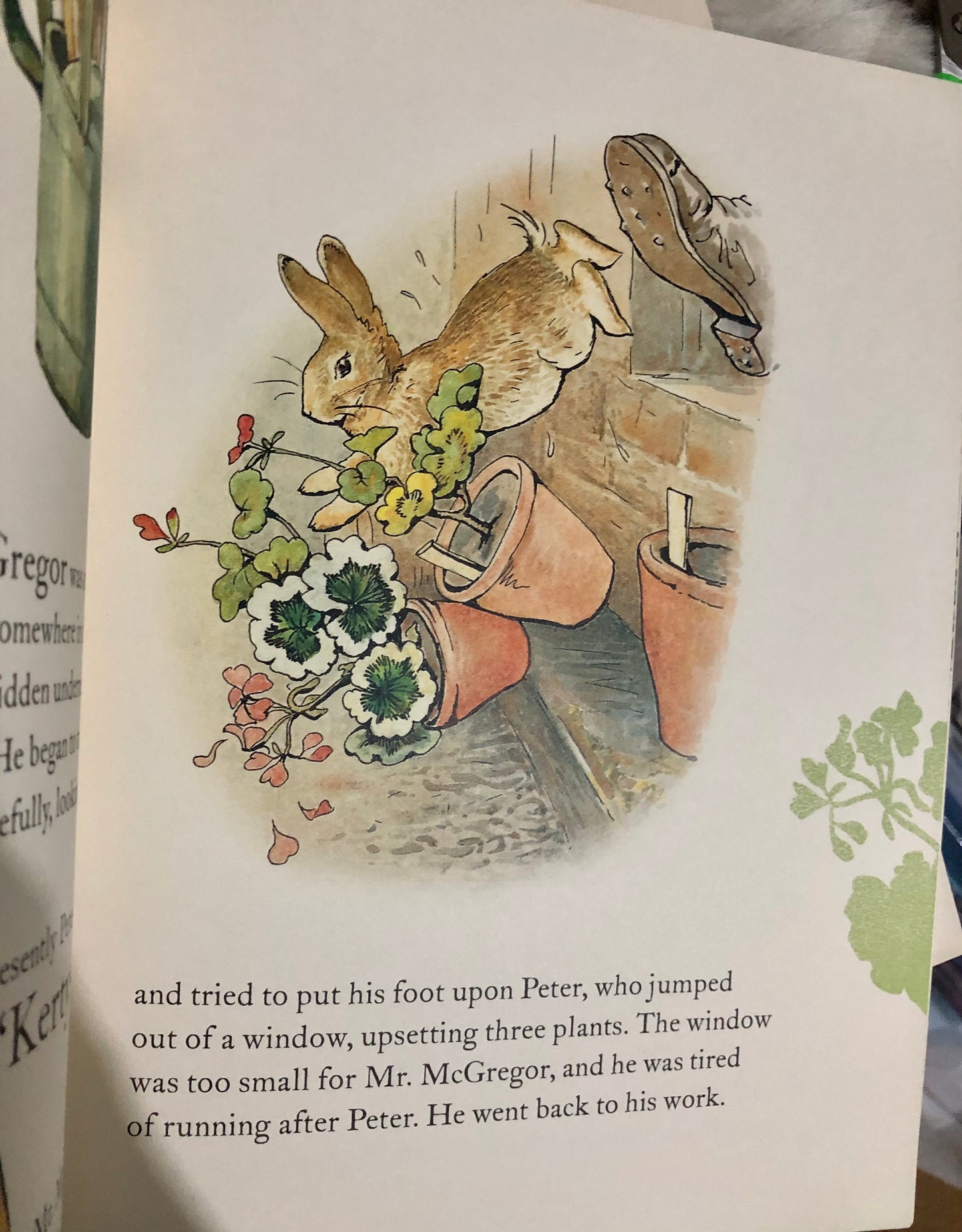 The tale of Peter Rabbit large picture book