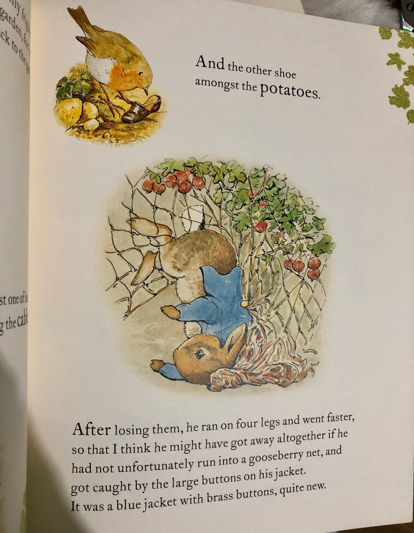 The tale of Peter Rabbit large picture book