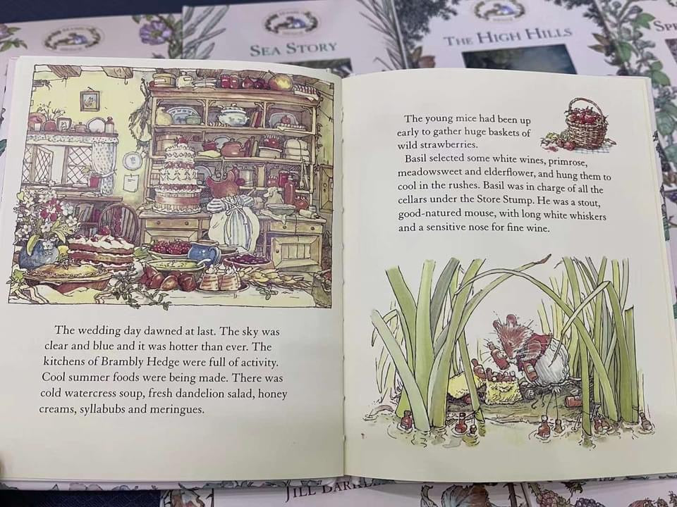 🐹The Brambly Hedge Library 🐹
🌸8 classic countryside tales