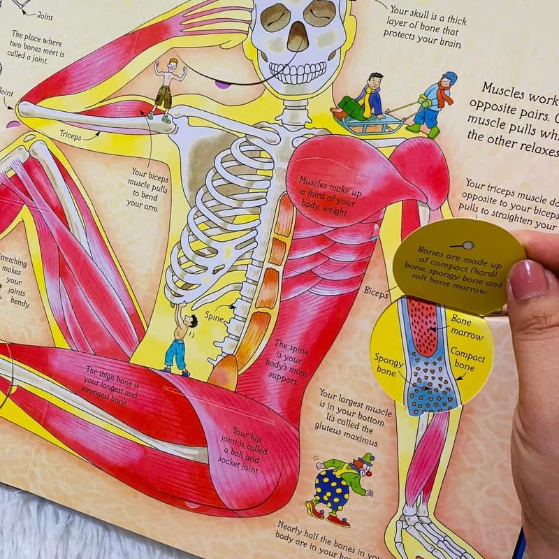 Usborne See inside Your Body