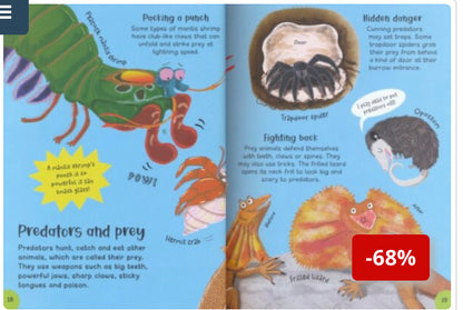 Miles Kelly Big Book of Facts