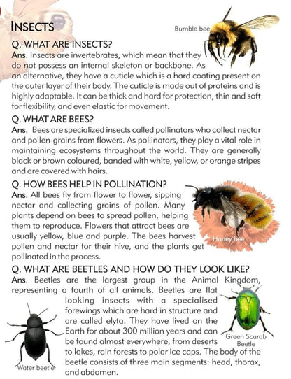 My Big Knowledge Encyclopedia