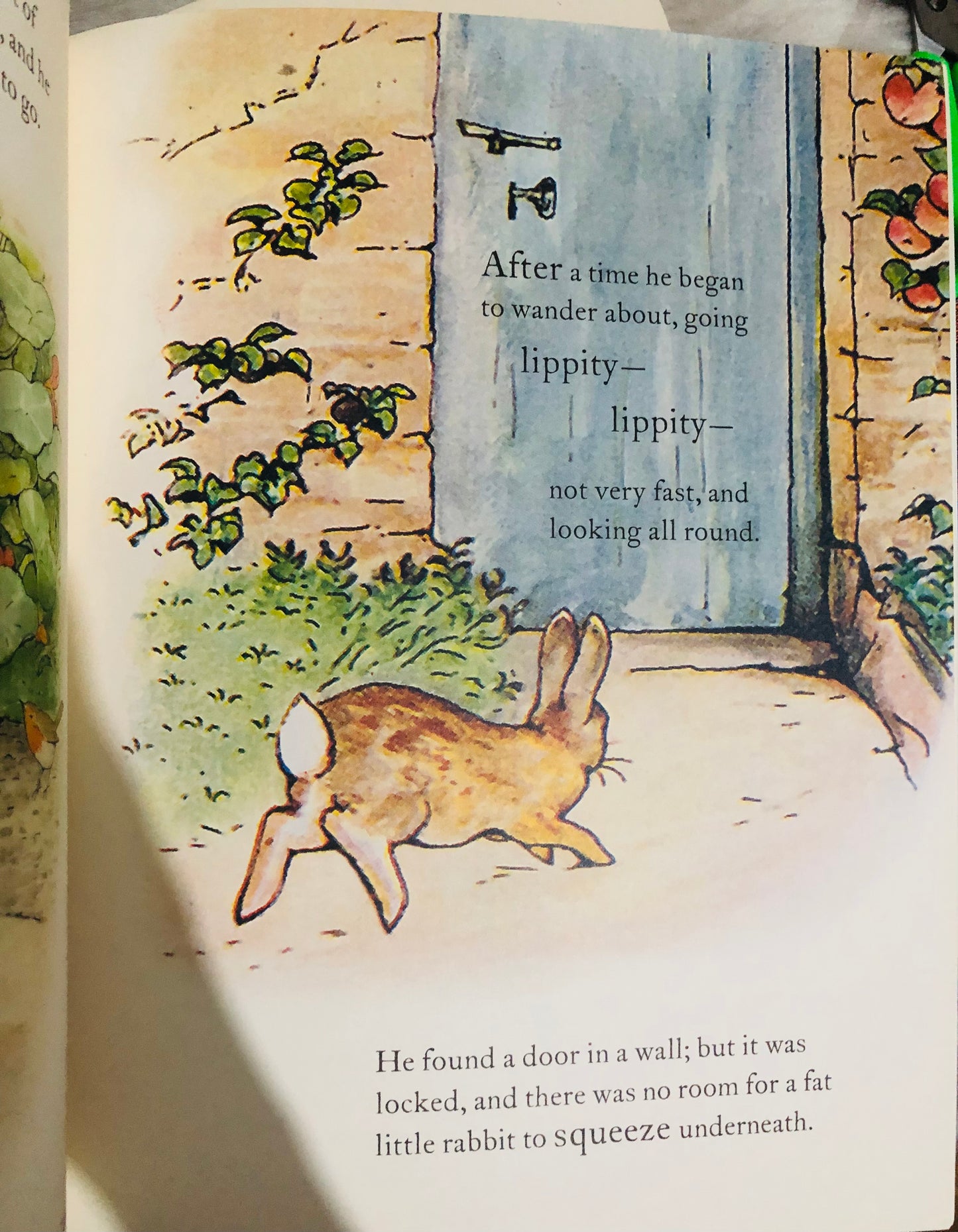 The tale of Peter Rabbit large picture book