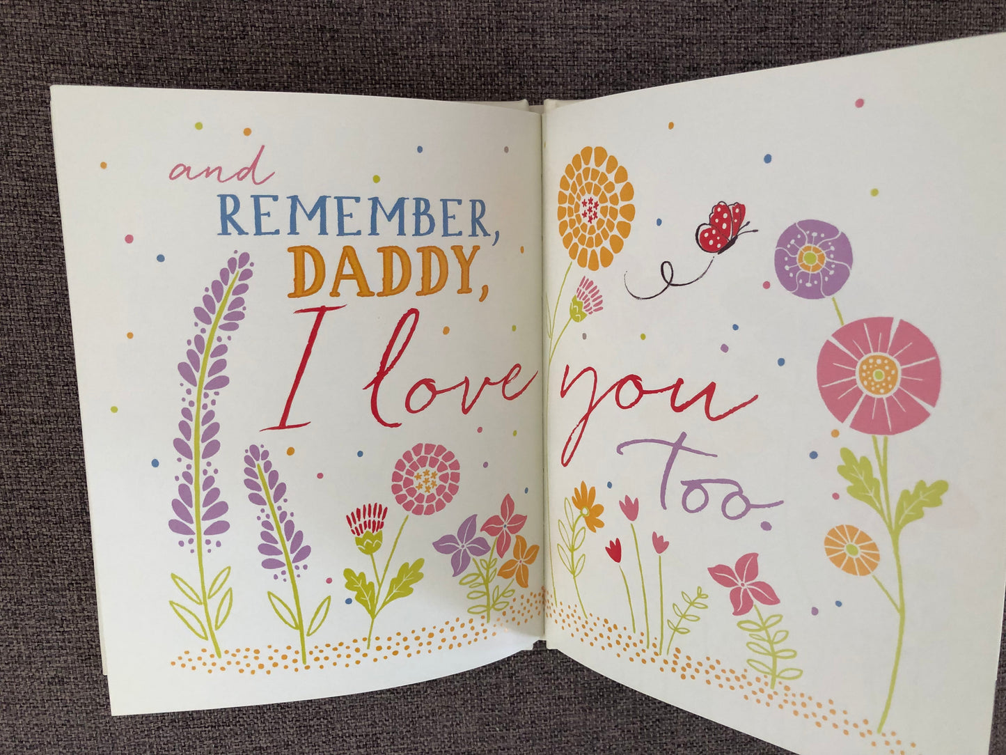 Peter Rabbit I Love You Daddy