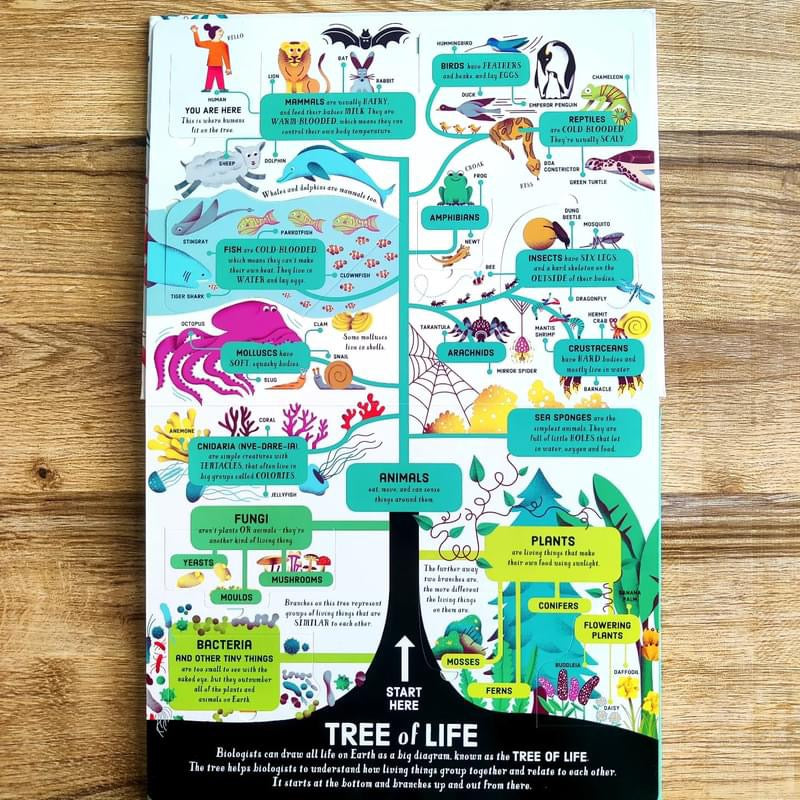 Usborne lift-the-flap Biology