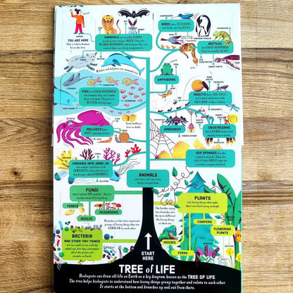 Usborne lift-the-flap Biology