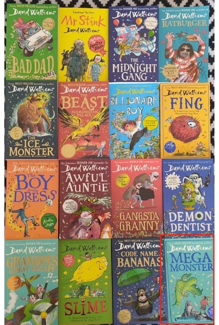 David Walliams 16 Book Collection – BookKiddy